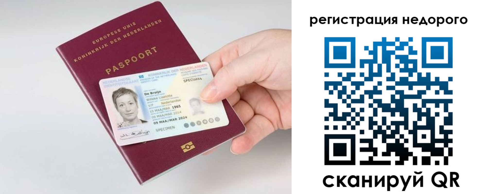временная регистрация гарантия в Реже